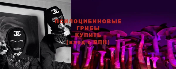 спиды Алексеевка
