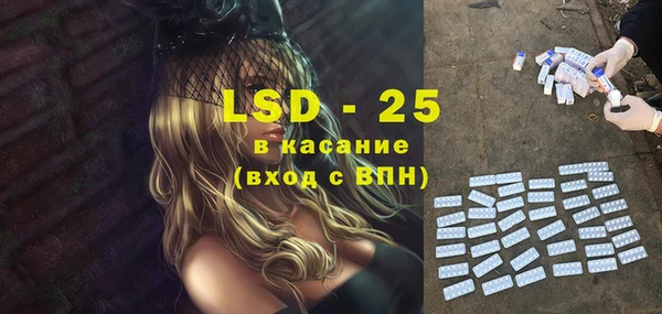 прущие грибы Абинск