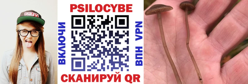 Галлюциногенные грибы мухоморы  Мирный 