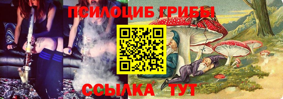 Псилоцибиновые грибы мицелий Мирный
