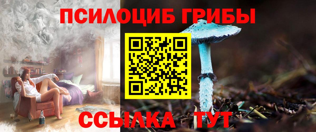 Галлюциногенные грибы ЛСД  Псилоцибиновые грибы ЛСД  Вход с VPN  Мирный 